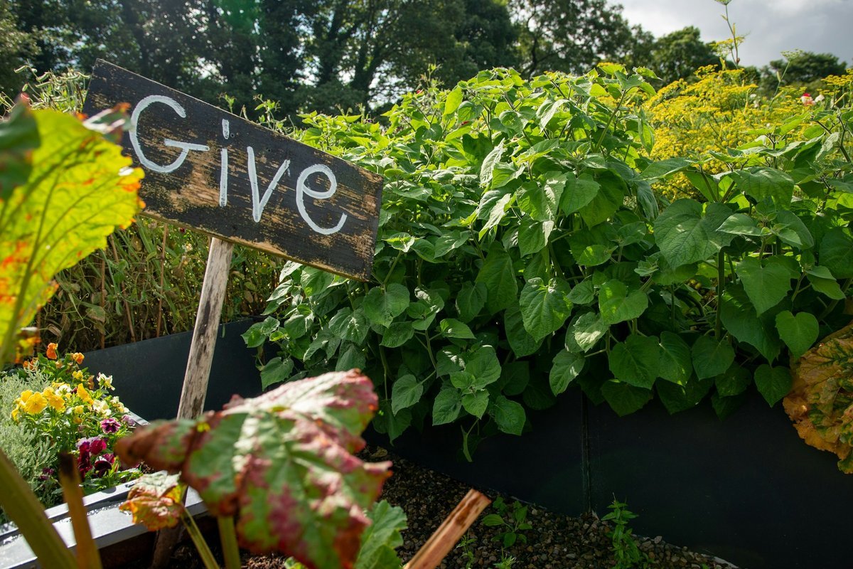 Innovate Today, Nourish Tomorrow: Reimagining Food Security Across Kelowna