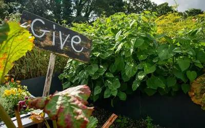Image à la une pour Innovate Today, Nourish Tomorrow: Reimagining Food Security Across Kelowna