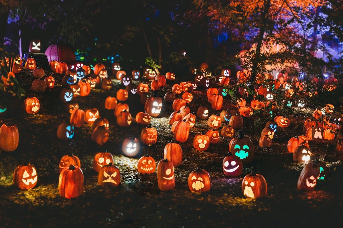 Spooktacular Ways to Give Back: Celebrating Halloween 2026 in Kelowna