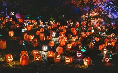 Image à la une pour Spooktacular Ways to Give Back: Celebrating Halloween 2026 in Kelowna