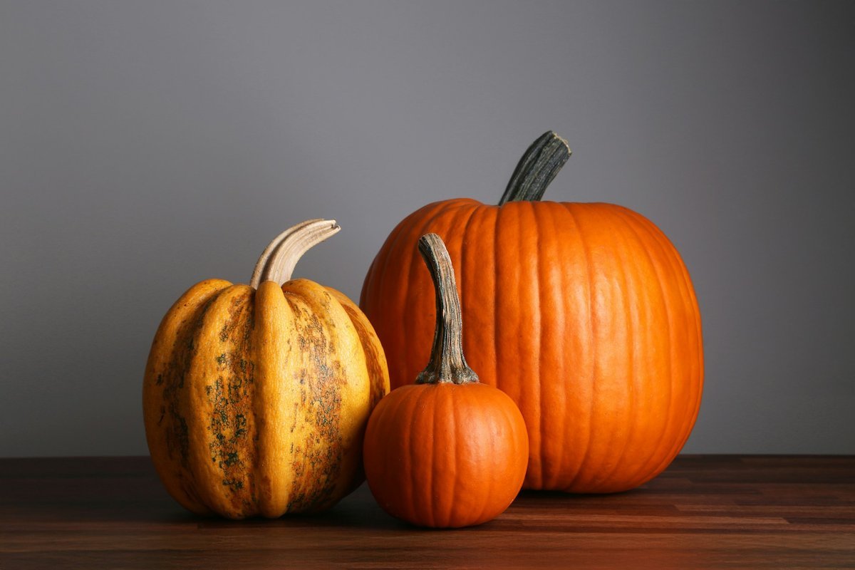 Setting a Wider Table: Meaningful Ways to Give Back This Thanksgiving Across Kelowna