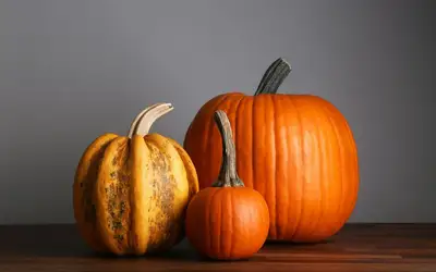 Feature image for Setting a Wider Table: Meaningful Ways to Give Back This Thanksgiving Across Kelowna