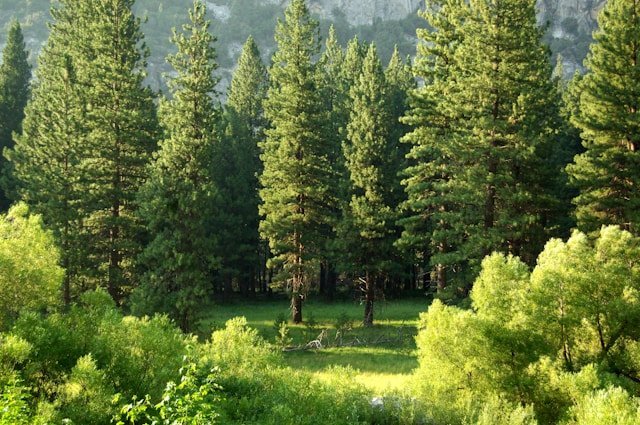 Celebrating Canadian Environment Week 2026: Let's Protect Our Home