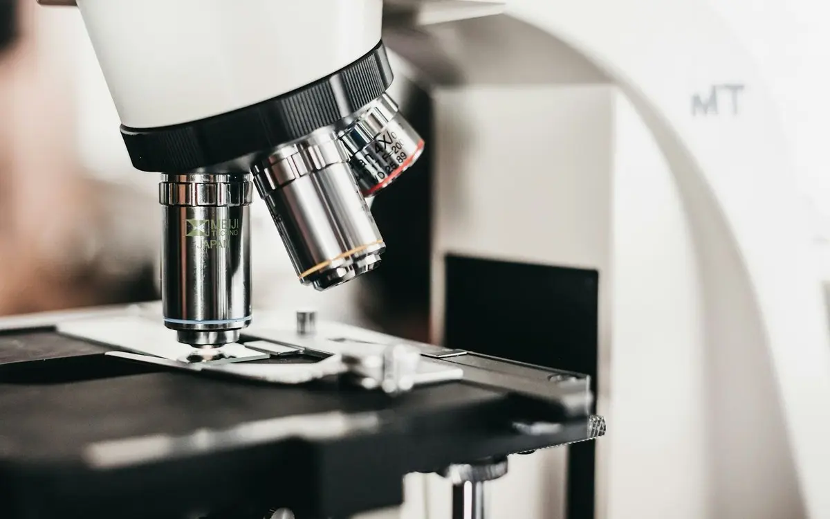 Micro-Volunteering in Kelowna: How to Make a Big Difference in Just Minutes