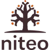 Niteo Africa Society