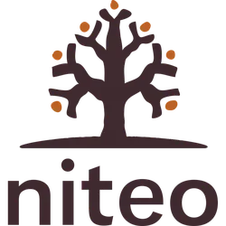Niteo Africa Society