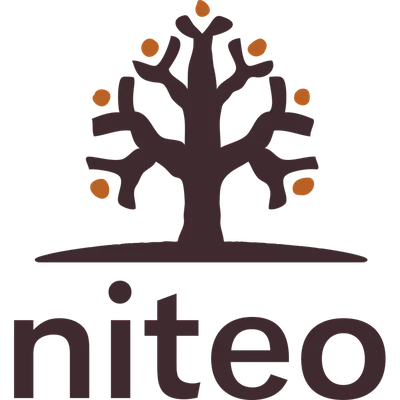 Niteo Africa Society