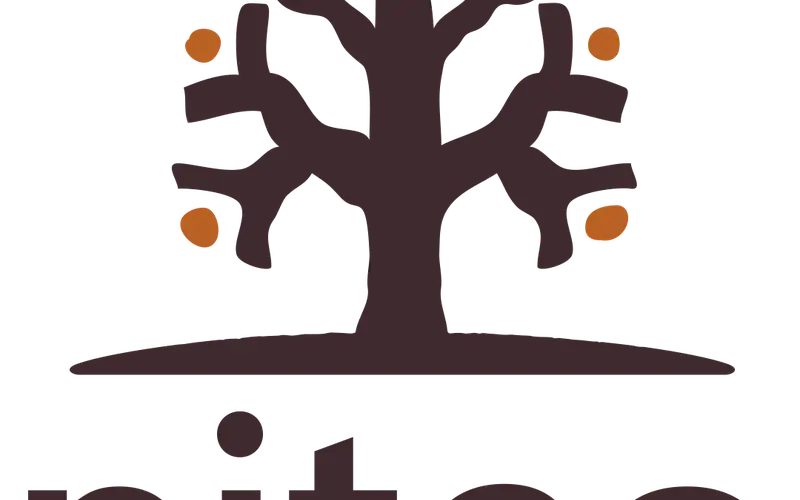Niteo Africa Society