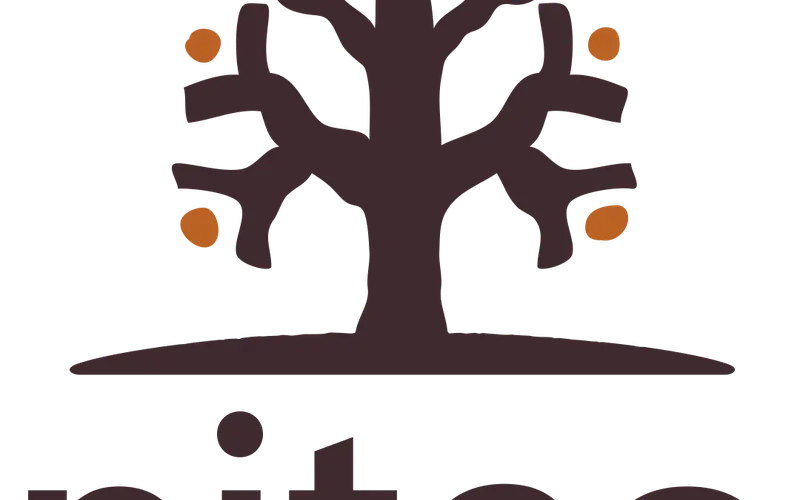 Niteo Africa Society