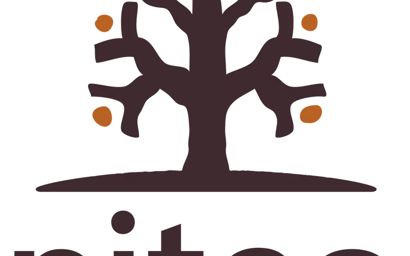 Niteo Africa Society