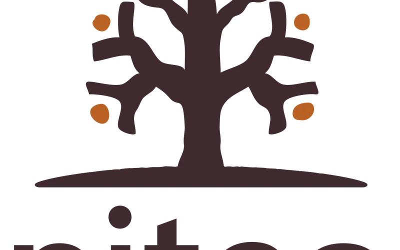 Niteo Africa Society