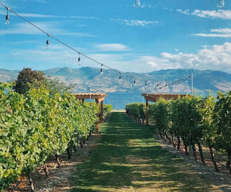 Community volunteers in Kelowna