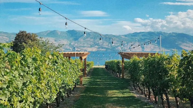 Volunteer Kelowna - Connect with your community