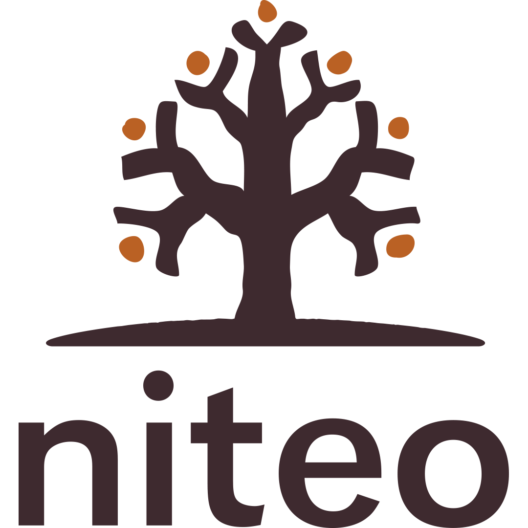 Niteo Africa Society Logo
